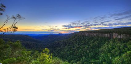 Canyon Lookout - Springbrook National Park - QLD T (PB5D 00 3888)